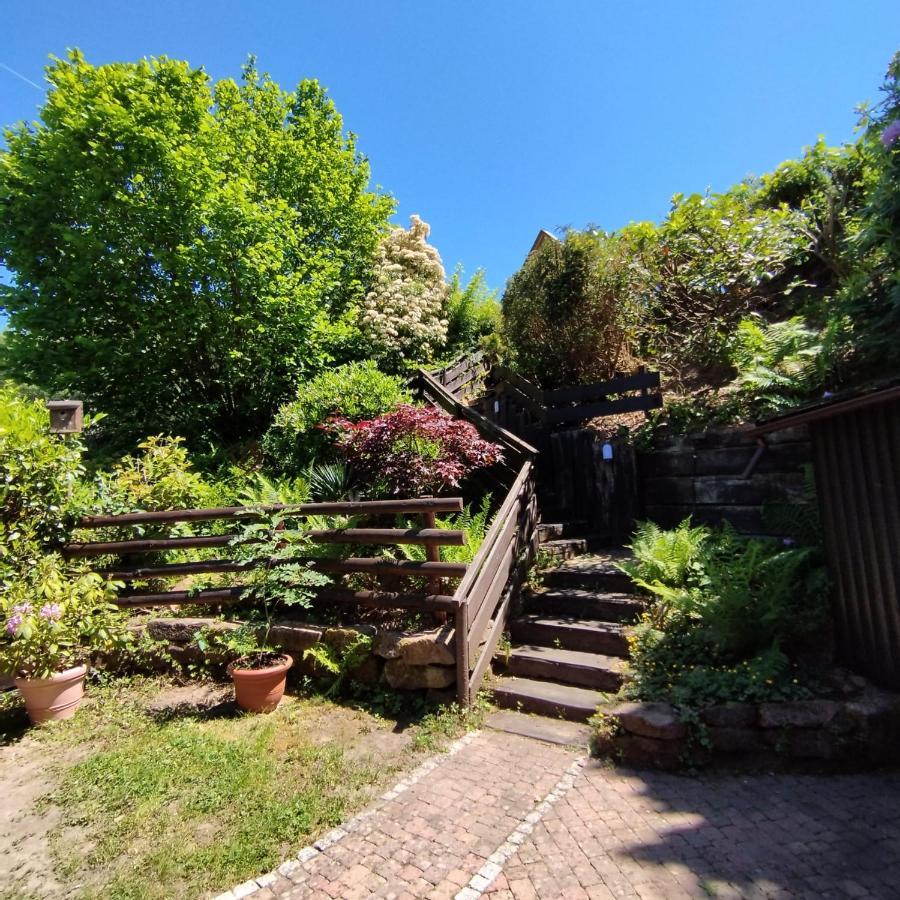 Chalet Spessart Dammbach ภายนอก รูปภาพ
