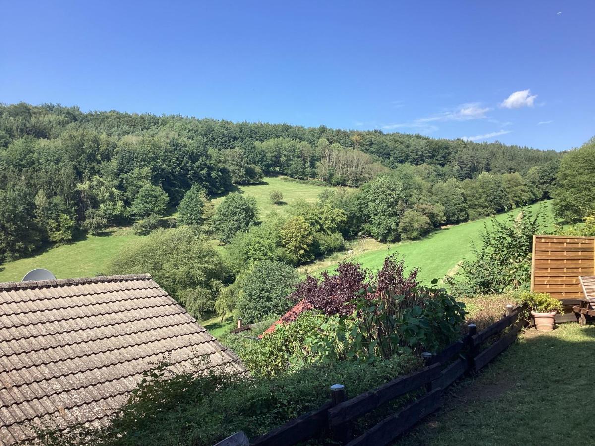 Chalet Spessart Dammbach ภายนอก รูปภาพ